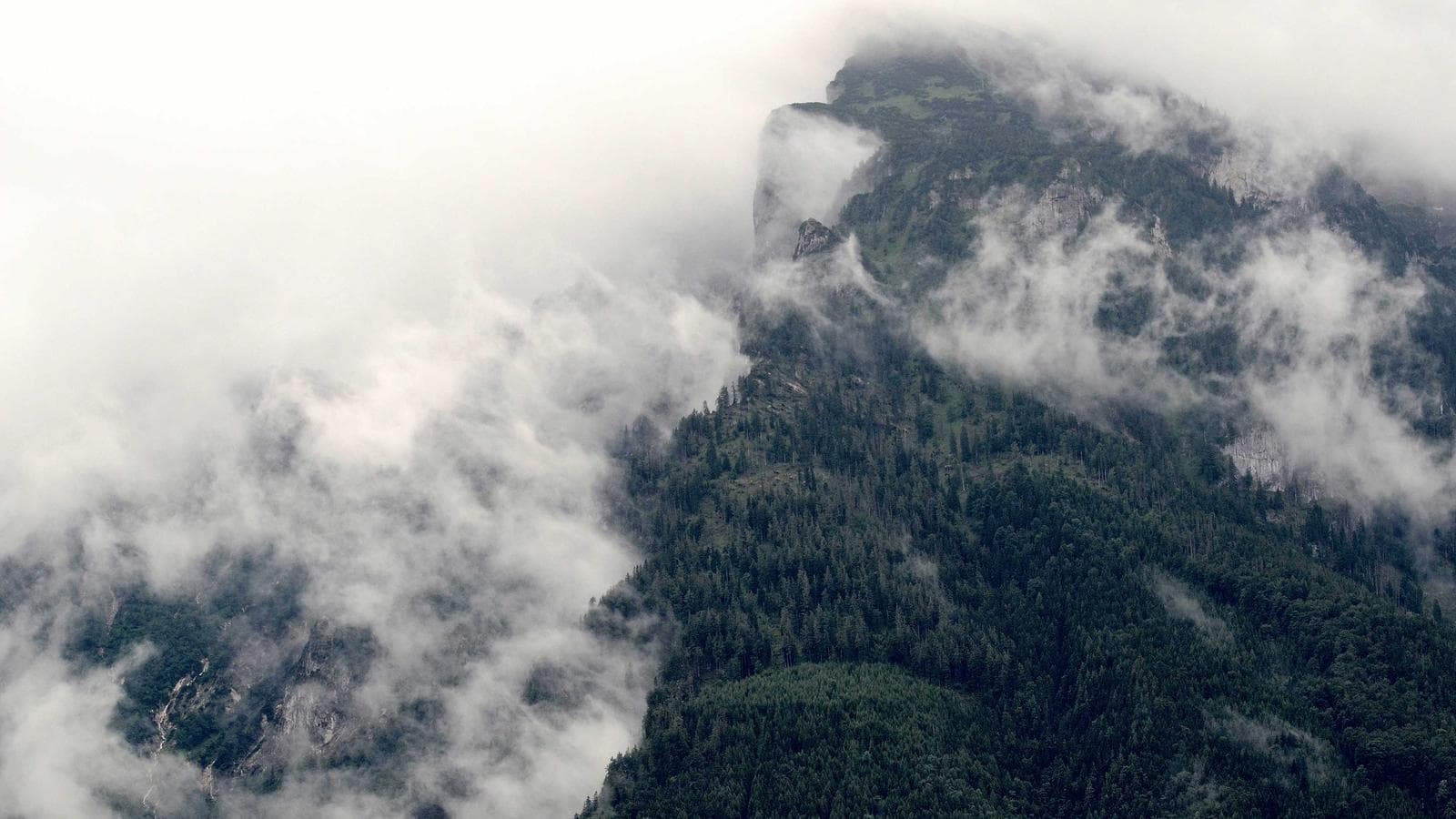 Snyder Area Agency on Aging Respite Programs